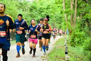 BIB: 2836, 2708, 204, 42591
                            <button type="button" onclick="openModal(4209738)" class="btn btn-primary btn-sm float-right btn-popup" data-toggle="modal" data-target=".modal-high-quality">
                        <i class="fas fa-shopping-cart"></i> Add to Cart
                    </button>
                                            <button type="button" onclick="isThisMe(4209738, true)" class="btn btn-success btn-sm float-right btn-popup btn-isme hidden" data-toggle="tooltip" data-placement="bottom" title="นี่คือรูปของคุณใช่ไหม คลิกที่นี่เพื่อเอาเข้าอัลบั้ม">
                        <i class="fas fa-plus"></i> Add to album
                    </button>
                    <button type="button" onclick="isThisMe(4209738, false)" class="btn btn-warning btn-sm float-right btn-popup btn-isnotme hidden">
                        <i class="fas fa-ban"></i> Remove from album
                    </button>