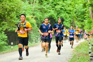 BIB: 7043, 42818, 7303
                            <button type="button" onclick="openModal(4209553)" class="btn btn-primary btn-sm float-right btn-popup" data-toggle="modal" data-target=".modal-high-quality">
                        <i class="fas fa-shopping-cart"></i> Add to Cart
                    </button>
                                            <button type="button" onclick="isThisMe(4209553, true)" class="btn btn-success btn-sm float-right btn-popup btn-isme hidden" data-toggle="tooltip" data-placement="bottom" title="นี่คือรูปของคุณใช่ไหม คลิกที่นี่เพื่อเอาเข้าอัลบั้ม">
                        <i class="fas fa-plus"></i> Add to album
                    </button>
                    <button type="button" onclick="isThisMe(4209553, false)" class="btn btn-warning btn-sm float-right btn-popup btn-isnotme hidden">
                        <i class="fas fa-ban"></i> Remove from album
                    </button>