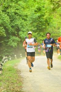 BIB: 
                            <button type="button" onclick="openModal(4216123)" class="btn btn-primary btn-sm float-right btn-popup" data-toggle="modal" data-target=".modal-high-quality">
                        <i class="fas fa-shopping-cart"></i> Add to Cart
                    </button>
                                            <button type="button" onclick="isThisMe(4216123, true)" class="btn btn-success btn-sm float-right btn-popup btn-isme hidden" data-toggle="tooltip" data-placement="bottom" title="นี่คือรูปของคุณใช่ไหม คลิกที่นี่เพื่อเอาเข้าอัลบั้ม">
                        <i class="fas fa-plus"></i> Add to album
                    </button>
                    <button type="button" onclick="isThisMe(4216123, false)" class="btn btn-warning btn-sm float-right btn-popup btn-isnotme hidden">
                        <i class="fas fa-ban"></i> Remove from album
                    </button>