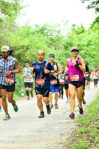 BIB: 2162, 2163, 2670, 2878
                            <button type="button" onclick="openModal(4211367)" class="btn btn-primary btn-sm float-right btn-popup" data-toggle="modal" data-target=".modal-high-quality">
                        <i class="fas fa-shopping-cart"></i> Add to Cart
                    </button>
                                            <button type="button" onclick="isThisMe(4211367, true)" class="btn btn-success btn-sm float-right btn-popup btn-isme hidden" data-toggle="tooltip" data-placement="bottom" title="นี่คือรูปของคุณใช่ไหม คลิกที่นี่เพื่อเอาเข้าอัลบั้ม">
                        <i class="fas fa-plus"></i> Add to album
                    </button>
                    <button type="button" onclick="isThisMe(4211367, false)" class="btn btn-warning btn-sm float-right btn-popup btn-isnotme hidden">
                        <i class="fas fa-ban"></i> Remove from album
                    </button>