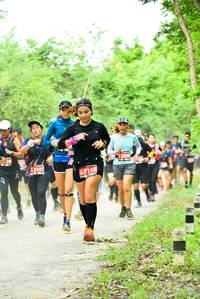 BIB: 42197, 47116
                            <button type="button" onclick="openModal(4212041)" class="btn btn-primary btn-sm float-right btn-popup" data-toggle="modal" data-target=".modal-high-quality">
                        <i class="fas fa-shopping-cart"></i> Add to Cart
                    </button>
                                            <button type="button" onclick="isThisMe(4212041, true)" class="btn btn-success btn-sm float-right btn-popup btn-isme hidden" data-toggle="tooltip" data-placement="bottom" title="นี่คือรูปของคุณใช่ไหม คลิกที่นี่เพื่อเอาเข้าอัลบั้ม">
                        <i class="fas fa-plus"></i> Add to album
                    </button>
                    <button type="button" onclick="isThisMe(4212041, false)" class="btn btn-warning btn-sm float-right btn-popup btn-isnotme hidden">
                        <i class="fas fa-ban"></i> Remove from album
                    </button>