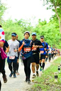 BIB: 269216
                            <button type="button" onclick="openModal(4212652)" class="btn btn-primary btn-sm float-right btn-popup" data-toggle="modal" data-target=".modal-high-quality">
                        <i class="fas fa-shopping-cart"></i> Add to Cart
                    </button>
                                            <button type="button" onclick="isThisMe(4212652, true)" class="btn btn-success btn-sm float-right btn-popup btn-isme hidden" data-toggle="tooltip" data-placement="bottom" title="นี่คือรูปของคุณใช่ไหม คลิกที่นี่เพื่อเอาเข้าอัลบั้ม">
                        <i class="fas fa-plus"></i> Add to album
                    </button>
                    <button type="button" onclick="isThisMe(4212652, false)" class="btn btn-warning btn-sm float-right btn-popup btn-isnotme hidden">
                        <i class="fas fa-ban"></i> Remove from album
                    </button>