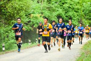 BIB: 7303, 7185
                            <button type="button" onclick="openModal(4209530)" class="btn btn-primary btn-sm float-right btn-popup" data-toggle="modal" data-target=".modal-high-quality">
                        <i class="fas fa-shopping-cart"></i> Add to Cart
                    </button>
                                            <button type="button" onclick="isThisMe(4209530, true)" class="btn btn-success btn-sm float-right btn-popup btn-isme hidden" data-toggle="tooltip" data-placement="bottom" title="นี่คือรูปของคุณใช่ไหม คลิกที่นี่เพื่อเอาเข้าอัลบั้ม">
                        <i class="fas fa-plus"></i> Add to album
                    </button>
                    <button type="button" onclick="isThisMe(4209530, false)" class="btn btn-warning btn-sm float-right btn-popup btn-isnotme hidden">
                        <i class="fas fa-ban"></i> Remove from album
                    </button>