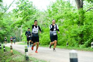 BIB: 3785, 3810
                            <button type="button" onclick="openModal(4203376)" class="btn btn-primary btn-sm float-right btn-popup" data-toggle="modal" data-target=".modal-high-quality">
                        <i class="fas fa-shopping-cart"></i> Add to Cart
                    </button>
                                            <button type="button" onclick="isThisMe(4203376, true)" class="btn btn-success btn-sm float-right btn-popup btn-isme hidden" data-toggle="tooltip" data-placement="bottom" title="นี่คือรูปของคุณใช่ไหม คลิกที่นี่เพื่อเอาเข้าอัลบั้ม">
                        <i class="fas fa-plus"></i> Add to album
                    </button>
                    <button type="button" onclick="isThisMe(4203376, false)" class="btn btn-warning btn-sm float-right btn-popup btn-isnotme hidden">
                        <i class="fas fa-ban"></i> Remove from album
                    </button>