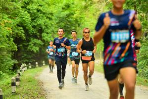 BIB: 1490, 5204, 6310, 
                            <button type="button" onclick="openModal(4215577)" class="btn btn-primary btn-sm float-right btn-popup" data-toggle="modal" data-target=".modal-high-quality">
                        <i class="fas fa-shopping-cart"></i> Add to Cart
                    </button>
                                            <button type="button" onclick="isThisMe(4215577, true)" class="btn btn-success btn-sm float-right btn-popup btn-isme hidden" data-toggle="tooltip" data-placement="bottom" title="นี่คือรูปของคุณใช่ไหม คลิกที่นี่เพื่อเอาเข้าอัลบั้ม">
                        <i class="fas fa-plus"></i> Add to album
                    </button>
                    <button type="button" onclick="isThisMe(4215577, false)" class="btn btn-warning btn-sm float-right btn-popup btn-isnotme hidden">
                        <i class="fas fa-ban"></i> Remove from album
                    </button>