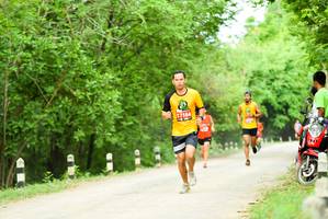 BIB: 7164
                            <button type="button" onclick="openModal(4204158)" class="btn btn-primary btn-sm float-right btn-popup" data-toggle="modal" data-target=".modal-high-quality">
                        <i class="fas fa-shopping-cart"></i> Add to Cart
                    </button>
                                            <button type="button" onclick="isThisMe(4204158, true)" class="btn btn-success btn-sm float-right btn-popup btn-isme hidden" data-toggle="tooltip" data-placement="bottom" title="นี่คือรูปของคุณใช่ไหม คลิกที่นี่เพื่อเอาเข้าอัลบั้ม">
                        <i class="fas fa-plus"></i> Add to album
                    </button>
                    <button type="button" onclick="isThisMe(4204158, false)" class="btn btn-warning btn-sm float-right btn-popup btn-isnotme hidden">
                        <i class="fas fa-ban"></i> Remove from album
                    </button>