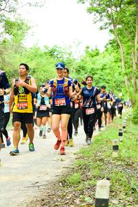 BIB: 
                            <button type="button" onclick="openModal(4213370)" class="btn btn-primary btn-sm float-right btn-popup" data-toggle="modal" data-target=".modal-high-quality">
                        <i class="fas fa-shopping-cart"></i> Add to Cart
                    </button>
                                            <button type="button" onclick="isThisMe(4213370, true)" class="btn btn-success btn-sm float-right btn-popup btn-isme hidden" data-toggle="tooltip" data-placement="bottom" title="นี่คือรูปของคุณใช่ไหม คลิกที่นี่เพื่อเอาเข้าอัลบั้ม">
                        <i class="fas fa-plus"></i> Add to album
                    </button>
                    <button type="button" onclick="isThisMe(4213370, false)" class="btn btn-warning btn-sm float-right btn-popup btn-isnotme hidden">
                        <i class="fas fa-ban"></i> Remove from album
                    </button>