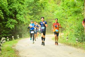 BIB: 
                            <button type="button" onclick="openModal(4215125)" class="btn btn-primary btn-sm float-right btn-popup" data-toggle="modal" data-target=".modal-high-quality">
                        <i class="fas fa-shopping-cart"></i> Add to Cart
                    </button>
                                            <button type="button" onclick="isThisMe(4215125, true)" class="btn btn-success btn-sm float-right btn-popup btn-isme hidden" data-toggle="tooltip" data-placement="bottom" title="นี่คือรูปของคุณใช่ไหม คลิกที่นี่เพื่อเอาเข้าอัลบั้ม">
                        <i class="fas fa-plus"></i> Add to album
                    </button>
                    <button type="button" onclick="isThisMe(4215125, false)" class="btn btn-warning btn-sm float-right btn-popup btn-isnotme hidden">
                        <i class="fas fa-ban"></i> Remove from album
                    </button>