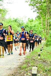 BIB: 2043, 7279, 2720, 2071
                            <button type="button" onclick="openModal(4213403)" class="btn btn-primary btn-sm float-right btn-popup" data-toggle="modal" data-target=".modal-high-quality">
                        <i class="fas fa-shopping-cart"></i> Add to Cart
                    </button>
                                            <button type="button" onclick="isThisMe(4213403, true)" class="btn btn-success btn-sm float-right btn-popup btn-isme hidden" data-toggle="tooltip" data-placement="bottom" title="นี่คือรูปของคุณใช่ไหม คลิกที่นี่เพื่อเอาเข้าอัลบั้ม">
                        <i class="fas fa-plus"></i> Add to album
                    </button>
                    <button type="button" onclick="isThisMe(4213403, false)" class="btn btn-warning btn-sm float-right btn-popup btn-isnotme hidden">
                        <i class="fas fa-ban"></i> Remove from album
                    </button>