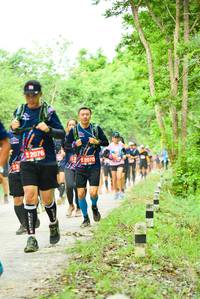 BIB: 2076
                            <button type="button" onclick="openModal(4211972)" class="btn btn-primary btn-sm float-right btn-popup" data-toggle="modal" data-target=".modal-high-quality">
                        <i class="fas fa-shopping-cart"></i> Add to Cart
                    </button>
                                            <button type="button" onclick="isThisMe(4211972, true)" class="btn btn-success btn-sm float-right btn-popup btn-isme hidden" data-toggle="tooltip" data-placement="bottom" title="นี่คือรูปของคุณใช่ไหม คลิกที่นี่เพื่อเอาเข้าอัลบั้ม">
                        <i class="fas fa-plus"></i> Add to album
                    </button>
                    <button type="button" onclick="isThisMe(4211972, false)" class="btn btn-warning btn-sm float-right btn-popup btn-isnotme hidden">
                        <i class="fas fa-ban"></i> Remove from album
                    </button>