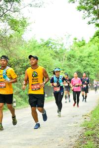 BIB: 183, 7276
                            <button type="button" onclick="openModal(4209902)" class="btn btn-primary btn-sm float-right btn-popup" data-toggle="modal" data-target=".modal-high-quality">
                        <i class="fas fa-shopping-cart"></i> Add to Cart
                    </button>
                                            <button type="button" onclick="isThisMe(4209902, true)" class="btn btn-success btn-sm float-right btn-popup btn-isme hidden" data-toggle="tooltip" data-placement="bottom" title="นี่คือรูปของคุณใช่ไหม คลิกที่นี่เพื่อเอาเข้าอัลบั้ม">
                        <i class="fas fa-plus"></i> Add to album
                    </button>
                    <button type="button" onclick="isThisMe(4209902, false)" class="btn btn-warning btn-sm float-right btn-popup btn-isnotme hidden">
                        <i class="fas fa-ban"></i> Remove from album
                    </button>