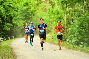 BIB: 
                            <button type="button" onclick="openModal(4215189)" class="btn btn-primary btn-sm float-right btn-popup" data-toggle="modal" data-target=".modal-high-quality">
                        <i class="fas fa-shopping-cart"></i> Add to Cart
                    </button>
                                            <button type="button" onclick="isThisMe(4215189, true)" class="btn btn-success btn-sm float-right btn-popup btn-isme hidden" data-toggle="tooltip" data-placement="bottom" title="นี่คือรูปของคุณใช่ไหม คลิกที่นี่เพื่อเอาเข้าอัลบั้ม">
                        <i class="fas fa-plus"></i> Add to album
                    </button>
                    <button type="button" onclick="isThisMe(4215189, false)" class="btn btn-warning btn-sm float-right btn-popup btn-isnotme hidden">
                        <i class="fas fa-ban"></i> Remove from album
                    </button>