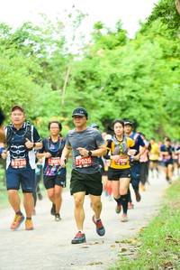 BIB: 12126, 7025
                            <button type="button" onclick="openModal(4210569)" class="btn btn-primary btn-sm float-right btn-popup" data-toggle="modal" data-target=".modal-high-quality">
                        <i class="fas fa-shopping-cart"></i> Add to Cart
                    </button>
                                            <button type="button" onclick="isThisMe(4210569, true)" class="btn btn-success btn-sm float-right btn-popup btn-isme hidden" data-toggle="tooltip" data-placement="bottom" title="นี่คือรูปของคุณใช่ไหม คลิกที่นี่เพื่อเอาเข้าอัลบั้ม">
                        <i class="fas fa-plus"></i> Add to album
                    </button>
                    <button type="button" onclick="isThisMe(4210569, false)" class="btn btn-warning btn-sm float-right btn-popup btn-isnotme hidden">
                        <i class="fas fa-ban"></i> Remove from album
                    </button>