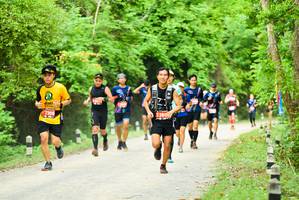 BIB: 7355, 2600
                            <button type="button" onclick="openModal(4204405)" class="btn btn-primary btn-sm float-right btn-popup" data-toggle="modal" data-target=".modal-high-quality">
                        <i class="fas fa-shopping-cart"></i> Add to Cart
                    </button>
                                            <button type="button" onclick="isThisMe(4204405, true)" class="btn btn-success btn-sm float-right btn-popup btn-isme hidden" data-toggle="tooltip" data-placement="bottom" title="นี่คือรูปของคุณใช่ไหม คลิกที่นี่เพื่อเอาเข้าอัลบั้ม">
                        <i class="fas fa-plus"></i> Add to album
                    </button>
                    <button type="button" onclick="isThisMe(4204405, false)" class="btn btn-warning btn-sm float-right btn-popup btn-isnotme hidden">
                        <i class="fas fa-ban"></i> Remove from album
                    </button>