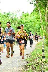 BIB: 2141, 259, 2006
                            <button type="button" onclick="openModal(4211156)" class="btn btn-primary btn-sm float-right btn-popup" data-toggle="modal" data-target=".modal-high-quality">
                        <i class="fas fa-shopping-cart"></i> Add to Cart
                    </button>
                                            <button type="button" onclick="isThisMe(4211156, true)" class="btn btn-success btn-sm float-right btn-popup btn-isme hidden" data-toggle="tooltip" data-placement="bottom" title="นี่คือรูปของคุณใช่ไหม คลิกที่นี่เพื่อเอาเข้าอัลบั้ม">
                        <i class="fas fa-plus"></i> Add to album
                    </button>
                    <button type="button" onclick="isThisMe(4211156, false)" class="btn btn-warning btn-sm float-right btn-popup btn-isnotme hidden">
                        <i class="fas fa-ban"></i> Remove from album
                    </button>