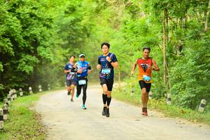 BIB: 
                            <button type="button" onclick="openModal(4215142)" class="btn btn-primary btn-sm float-right btn-popup" data-toggle="modal" data-target=".modal-high-quality">
                        <i class="fas fa-shopping-cart"></i> Add to Cart
                    </button>
                                            <button type="button" onclick="isThisMe(4215142, true)" class="btn btn-success btn-sm float-right btn-popup btn-isme hidden" data-toggle="tooltip" data-placement="bottom" title="นี่คือรูปของคุณใช่ไหม คลิกที่นี่เพื่อเอาเข้าอัลบั้ม">
                        <i class="fas fa-plus"></i> Add to album
                    </button>
                    <button type="button" onclick="isThisMe(4215142, false)" class="btn btn-warning btn-sm float-right btn-popup btn-isnotme hidden">
                        <i class="fas fa-ban"></i> Remove from album
                    </button>