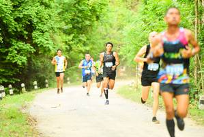 BIB: 
                            <button type="button" onclick="openModal(4214874)" class="btn btn-primary btn-sm float-right btn-popup" data-toggle="modal" data-target=".modal-high-quality">
                        <i class="fas fa-shopping-cart"></i> Add to Cart
                    </button>
                                            <button type="button" onclick="isThisMe(4214874, true)" class="btn btn-success btn-sm float-right btn-popup btn-isme hidden" data-toggle="tooltip" data-placement="bottom" title="นี่คือรูปของคุณใช่ไหม คลิกที่นี่เพื่อเอาเข้าอัลบั้ม">
                        <i class="fas fa-plus"></i> Add to album
                    </button>
                    <button type="button" onclick="isThisMe(4214874, false)" class="btn btn-warning btn-sm float-right btn-popup btn-isnotme hidden">
                        <i class="fas fa-ban"></i> Remove from album
                    </button>