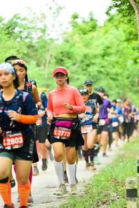 BIB: 2772, 42803
                            <button type="button" onclick="openModal(4212246)" class="btn btn-primary btn-sm float-right btn-popup" data-toggle="modal" data-target=".modal-high-quality">
                        <i class="fas fa-shopping-cart"></i> Add to Cart
                    </button>
                                            <button type="button" onclick="isThisMe(4212246, true)" class="btn btn-success btn-sm float-right btn-popup btn-isme hidden" data-toggle="tooltip" data-placement="bottom" title="นี่คือรูปของคุณใช่ไหม คลิกที่นี่เพื่อเอาเข้าอัลบั้ม">
                        <i class="fas fa-plus"></i> Add to album
                    </button>
                    <button type="button" onclick="isThisMe(4212246, false)" class="btn btn-warning btn-sm float-right btn-popup btn-isnotme hidden">
                        <i class="fas fa-ban"></i> Remove from album
                    </button>