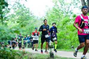 BIB: 340, 300
                            <button type="button" onclick="openModal(4201656)" class="btn btn-primary btn-sm float-right btn-popup" data-toggle="modal" data-target=".modal-high-quality">
                        <i class="fas fa-shopping-cart"></i> Add to Cart
                    </button>
                                            <button type="button" onclick="isThisMe(4201656, true)" class="btn btn-success btn-sm float-right btn-popup btn-isme hidden" data-toggle="tooltip" data-placement="bottom" title="นี่คือรูปของคุณใช่ไหม คลิกที่นี่เพื่อเอาเข้าอัลบั้ม">
                        <i class="fas fa-plus"></i> Add to album
                    </button>
                    <button type="button" onclick="isThisMe(4201656, false)" class="btn btn-warning btn-sm float-right btn-popup btn-isnotme hidden">
                        <i class="fas fa-ban"></i> Remove from album
                    </button>