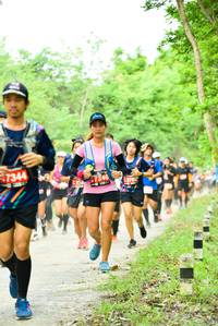 BIB: 7344, 7346, 1278
                            <button type="button" onclick="openModal(4211999)" class="btn btn-primary btn-sm float-right btn-popup" data-toggle="modal" data-target=".modal-high-quality">
                        <i class="fas fa-shopping-cart"></i> Add to Cart
                    </button>
                                            <button type="button" onclick="isThisMe(4211999, true)" class="btn btn-success btn-sm float-right btn-popup btn-isme hidden" data-toggle="tooltip" data-placement="bottom" title="นี่คือรูปของคุณใช่ไหม คลิกที่นี่เพื่อเอาเข้าอัลบั้ม">
                        <i class="fas fa-plus"></i> Add to album
                    </button>
                    <button type="button" onclick="isThisMe(4211999, false)" class="btn btn-warning btn-sm float-right btn-popup btn-isnotme hidden">
                        <i class="fas fa-ban"></i> Remove from album
                    </button>