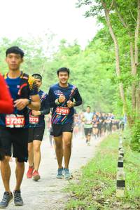 BIB: 2581, 7267, 2270
                            <button type="button" onclick="openModal(4211667)" class="btn btn-primary btn-sm float-right btn-popup" data-toggle="modal" data-target=".modal-high-quality">
                        <i class="fas fa-shopping-cart"></i> Add to Cart
                    </button>
                                            <button type="button" onclick="isThisMe(4211667, true)" class="btn btn-success btn-sm float-right btn-popup btn-isme hidden" data-toggle="tooltip" data-placement="bottom" title="นี่คือรูปของคุณใช่ไหม คลิกที่นี่เพื่อเอาเข้าอัลบั้ม">
                        <i class="fas fa-plus"></i> Add to album
                    </button>
                    <button type="button" onclick="isThisMe(4211667, false)" class="btn btn-warning btn-sm float-right btn-popup btn-isnotme hidden">
                        <i class="fas fa-ban"></i> Remove from album
                    </button>