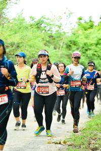 BIB: 2986, 7219, 47050, 976
                            <button type="button" onclick="openModal(4212816)" class="btn btn-primary btn-sm float-right btn-popup" data-toggle="modal" data-target=".modal-high-quality">
                        <i class="fas fa-shopping-cart"></i> Add to Cart
                    </button>
                                            <button type="button" onclick="isThisMe(4212816, true)" class="btn btn-success btn-sm float-right btn-popup btn-isme hidden" data-toggle="tooltip" data-placement="bottom" title="นี่คือรูปของคุณใช่ไหม คลิกที่นี่เพื่อเอาเข้าอัลบั้ม">
                        <i class="fas fa-plus"></i> Add to album
                    </button>
                    <button type="button" onclick="isThisMe(4212816, false)" class="btn btn-warning btn-sm float-right btn-popup btn-isnotme hidden">
                        <i class="fas fa-ban"></i> Remove from album
                    </button>