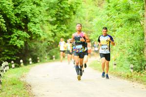 BIB: 
                            <button type="button" onclick="openModal(4214850)" class="btn btn-primary btn-sm float-right btn-popup" data-toggle="modal" data-target=".modal-high-quality">
                        <i class="fas fa-shopping-cart"></i> Add to Cart
                    </button>
                                            <button type="button" onclick="isThisMe(4214850, true)" class="btn btn-success btn-sm float-right btn-popup btn-isme hidden" data-toggle="tooltip" data-placement="bottom" title="นี่คือรูปของคุณใช่ไหม คลิกที่นี่เพื่อเอาเข้าอัลบั้ม">
                        <i class="fas fa-plus"></i> Add to album
                    </button>
                    <button type="button" onclick="isThisMe(4214850, false)" class="btn btn-warning btn-sm float-right btn-popup btn-isnotme hidden">
                        <i class="fas fa-ban"></i> Remove from album
                    </button>