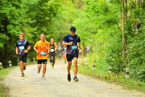 BIB: 1635, 312
                            <button type="button" onclick="openModal(4215445)" class="btn btn-primary btn-sm float-right btn-popup" data-toggle="modal" data-target=".modal-high-quality">
                        <i class="fas fa-shopping-cart"></i> Add to Cart
                    </button>
                                            <button type="button" onclick="isThisMe(4215445, true)" class="btn btn-success btn-sm float-right btn-popup btn-isme hidden" data-toggle="tooltip" data-placement="bottom" title="นี่คือรูปของคุณใช่ไหม คลิกที่นี่เพื่อเอาเข้าอัลบั้ม">
                        <i class="fas fa-plus"></i> Add to album
                    </button>
                    <button type="button" onclick="isThisMe(4215445, false)" class="btn btn-warning btn-sm float-right btn-popup btn-isnotme hidden">
                        <i class="fas fa-ban"></i> Remove from album
                    </button>