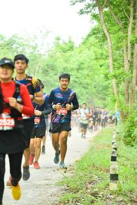 BIB: 2581, 270, 2529
                            <button type="button" onclick="openModal(4211658)" class="btn btn-primary btn-sm float-right btn-popup" data-toggle="modal" data-target=".modal-high-quality">
                        <i class="fas fa-shopping-cart"></i> Add to Cart
                    </button>
                                            <button type="button" onclick="isThisMe(4211658, true)" class="btn btn-success btn-sm float-right btn-popup btn-isme hidden" data-toggle="tooltip" data-placement="bottom" title="นี่คือรูปของคุณใช่ไหม คลิกที่นี่เพื่อเอาเข้าอัลบั้ม">
                        <i class="fas fa-plus"></i> Add to album
                    </button>
                    <button type="button" onclick="isThisMe(4211658, false)" class="btn btn-warning btn-sm float-right btn-popup btn-isnotme hidden">
                        <i class="fas fa-ban"></i> Remove from album
                    </button>