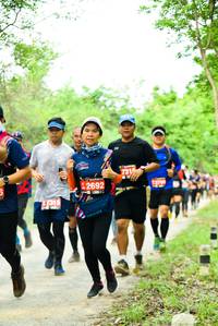 BIB: 731, 2692, 
                            <button type="button" onclick="openModal(4212675)" class="btn btn-primary btn-sm float-right btn-popup" data-toggle="modal" data-target=".modal-high-quality">
                        <i class="fas fa-shopping-cart"></i> Add to Cart
                    </button>
                                            <button type="button" onclick="isThisMe(4212675, true)" class="btn btn-success btn-sm float-right btn-popup btn-isme hidden" data-toggle="tooltip" data-placement="bottom" title="นี่คือรูปของคุณใช่ไหม คลิกที่นี่เพื่อเอาเข้าอัลบั้ม">
                        <i class="fas fa-plus"></i> Add to album
                    </button>
                    <button type="button" onclick="isThisMe(4212675, false)" class="btn btn-warning btn-sm float-right btn-popup btn-isnotme hidden">
                        <i class="fas fa-ban"></i> Remove from album
                    </button>