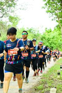 BIB: 2010, 7029, 7070, 42173
                            <button type="button" onclick="openModal(4213213)" class="btn btn-primary btn-sm float-right btn-popup" data-toggle="modal" data-target=".modal-high-quality">
                        <i class="fas fa-shopping-cart"></i> Add to Cart
                    </button>
                                            <button type="button" onclick="isThisMe(4213213, true)" class="btn btn-success btn-sm float-right btn-popup btn-isme hidden" data-toggle="tooltip" data-placement="bottom" title="นี่คือรูปของคุณใช่ไหม คลิกที่นี่เพื่อเอาเข้าอัลบั้ม">
                        <i class="fas fa-plus"></i> Add to album
                    </button>
                    <button type="button" onclick="isThisMe(4213213, false)" class="btn btn-warning btn-sm float-right btn-popup btn-isnotme hidden">
                        <i class="fas fa-ban"></i> Remove from album
                    </button>