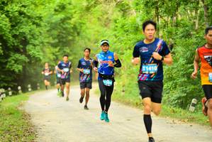 BIB: 
                            <button type="button" onclick="openModal(4215213)" class="btn btn-primary btn-sm float-right btn-popup" data-toggle="modal" data-target=".modal-high-quality">
                        <i class="fas fa-shopping-cart"></i> Add to Cart
                    </button>
                                            <button type="button" onclick="isThisMe(4215213, true)" class="btn btn-success btn-sm float-right btn-popup btn-isme hidden" data-toggle="tooltip" data-placement="bottom" title="นี่คือรูปของคุณใช่ไหม คลิกที่นี่เพื่อเอาเข้าอัลบั้ม">
                        <i class="fas fa-plus"></i> Add to album
                    </button>
                    <button type="button" onclick="isThisMe(4215213, false)" class="btn btn-warning btn-sm float-right btn-popup btn-isnotme hidden">
                        <i class="fas fa-ban"></i> Remove from album
                    </button>