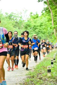 BIB: 2787, 2785
                            <button type="button" onclick="openModal(4212028)" class="btn btn-primary btn-sm float-right btn-popup" data-toggle="modal" data-target=".modal-high-quality">
                        <i class="fas fa-shopping-cart"></i> Add to Cart
                    </button>
                                            <button type="button" onclick="isThisMe(4212028, true)" class="btn btn-success btn-sm float-right btn-popup btn-isme hidden" data-toggle="tooltip" data-placement="bottom" title="นี่คือรูปของคุณใช่ไหม คลิกที่นี่เพื่อเอาเข้าอัลบั้ม">
                        <i class="fas fa-plus"></i> Add to album
                    </button>
                    <button type="button" onclick="isThisMe(4212028, false)" class="btn btn-warning btn-sm float-right btn-popup btn-isnotme hidden">
                        <i class="fas fa-ban"></i> Remove from album
                    </button>