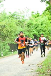 BIB: 7042
                            <button type="button" onclick="openModal(4210384)" class="btn btn-primary btn-sm float-right btn-popup" data-toggle="modal" data-target=".modal-high-quality">
                        <i class="fas fa-shopping-cart"></i> Add to Cart
                    </button>
                                            <button type="button" onclick="isThisMe(4210384, true)" class="btn btn-success btn-sm float-right btn-popup btn-isme hidden" data-toggle="tooltip" data-placement="bottom" title="นี่คือรูปของคุณใช่ไหม คลิกที่นี่เพื่อเอาเข้าอัลบั้ม">
                        <i class="fas fa-plus"></i> Add to album
                    </button>
                    <button type="button" onclick="isThisMe(4210384, false)" class="btn btn-warning btn-sm float-right btn-popup btn-isnotme hidden">
                        <i class="fas fa-ban"></i> Remove from album
                    </button>