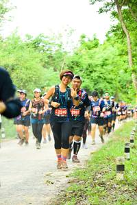 BIB: 2249, 2987
                            <button type="button" onclick="openModal(4213096)" class="btn btn-primary btn-sm float-right btn-popup" data-toggle="modal" data-target=".modal-high-quality">
                        <i class="fas fa-shopping-cart"></i> Add to Cart
                    </button>
                                            <button type="button" onclick="isThisMe(4213096, true)" class="btn btn-success btn-sm float-right btn-popup btn-isme hidden" data-toggle="tooltip" data-placement="bottom" title="นี่คือรูปของคุณใช่ไหม คลิกที่นี่เพื่อเอาเข้าอัลบั้ม">
                        <i class="fas fa-plus"></i> Add to album
                    </button>
                    <button type="button" onclick="isThisMe(4213096, false)" class="btn btn-warning btn-sm float-right btn-popup btn-isnotme hidden">
                        <i class="fas fa-ban"></i> Remove from album
                    </button>