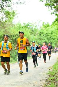 BIB: 97276, 2183
                            <button type="button" onclick="openModal(4209904)" class="btn btn-primary btn-sm float-right btn-popup" data-toggle="modal" data-target=".modal-high-quality">
                        <i class="fas fa-shopping-cart"></i> Add to Cart
                    </button>
                                            <button type="button" onclick="isThisMe(4209904, true)" class="btn btn-success btn-sm float-right btn-popup btn-isme hidden" data-toggle="tooltip" data-placement="bottom" title="นี่คือรูปของคุณใช่ไหม คลิกที่นี่เพื่อเอาเข้าอัลบั้ม">
                        <i class="fas fa-plus"></i> Add to album
                    </button>
                    <button type="button" onclick="isThisMe(4209904, false)" class="btn btn-warning btn-sm float-right btn-popup btn-isnotme hidden">
                        <i class="fas fa-ban"></i> Remove from album
                    </button>