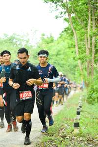 BIB: 168, 2013
                            <button type="button" onclick="openModal(4211857)" class="btn btn-primary btn-sm float-right btn-popup" data-toggle="modal" data-target=".modal-high-quality">
                        <i class="fas fa-shopping-cart"></i> Add to Cart
                    </button>
                                            <button type="button" onclick="isThisMe(4211857, true)" class="btn btn-success btn-sm float-right btn-popup btn-isme hidden" data-toggle="tooltip" data-placement="bottom" title="นี่คือรูปของคุณใช่ไหม คลิกที่นี่เพื่อเอาเข้าอัลบั้ม">
                        <i class="fas fa-plus"></i> Add to album
                    </button>
                    <button type="button" onclick="isThisMe(4211857, false)" class="btn btn-warning btn-sm float-right btn-popup btn-isnotme hidden">
                        <i class="fas fa-ban"></i> Remove from album
                    </button>