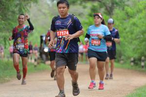 BIB: 7174, 2687, 13239, 
                            <button type="button" onclick="openModal(4409311)" class="btn btn-primary btn-sm float-right btn-popup" data-toggle="modal" data-target=".modal-high-quality">
                        <i class="fas fa-shopping-cart"></i> Add to Cart
                    </button>
                                            <button type="button" onclick="isThisMe(4409311, true)" class="btn btn-success btn-sm float-right btn-popup btn-isme hidden" data-toggle="tooltip" data-placement="bottom" title="นี่คือรูปของคุณใช่ไหม คลิกที่นี่เพื่อเอาเข้าอัลบั้ม">
                        <i class="fas fa-plus"></i> Add to album
                    </button>
                    <button type="button" onclick="isThisMe(4409311, false)" class="btn btn-warning btn-sm float-right btn-popup btn-isnotme hidden">
                        <i class="fas fa-ban"></i> Remove from album
                    </button>
