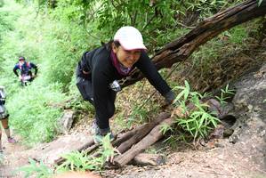 BIB: 
                            <button type="button" onclick="openModal(4415966)" class="btn btn-primary btn-sm float-right btn-popup" data-toggle="modal" data-target=".modal-high-quality">
                        <i class="fas fa-shopping-cart"></i> Add to Cart
                    </button>
                                            <button type="button" onclick="isThisMe(4415966, true)" class="btn btn-success btn-sm float-right btn-popup btn-isme hidden" data-toggle="tooltip" data-placement="bottom" title="นี่คือรูปของคุณใช่ไหม คลิกที่นี่เพื่อเอาเข้าอัลบั้ม">
                        <i class="fas fa-plus"></i> Add to album
                    </button>
                    <button type="button" onclick="isThisMe(4415966, false)" class="btn btn-warning btn-sm float-right btn-popup btn-isnotme hidden">
                        <i class="fas fa-ban"></i> Remove from album
                    </button>