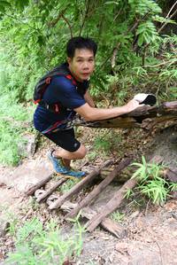 BIB: 
                            <button type="button" onclick="openModal(4423957)" class="btn btn-primary btn-sm float-right btn-popup" data-toggle="modal" data-target=".modal-high-quality">
                        <i class="fas fa-shopping-cart"></i> Add to Cart
                    </button>
                                            <button type="button" onclick="isThisMe(4423957, true)" class="btn btn-success btn-sm float-right btn-popup btn-isme hidden" data-toggle="tooltip" data-placement="bottom" title="นี่คือรูปของคุณใช่ไหม คลิกที่นี่เพื่อเอาเข้าอัลบั้ม">
                        <i class="fas fa-plus"></i> Add to album
                    </button>
                    <button type="button" onclick="isThisMe(4423957, false)" class="btn btn-warning btn-sm float-right btn-popup btn-isnotme hidden">
                        <i class="fas fa-ban"></i> Remove from album
                    </button>