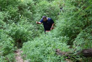 BIB: 
                            <button type="button" onclick="openModal(4414935)" class="btn btn-primary btn-sm float-right btn-popup" data-toggle="modal" data-target=".modal-high-quality">
                        <i class="fas fa-shopping-cart"></i> Add to Cart
                    </button>
                                            <button type="button" onclick="isThisMe(4414935, true)" class="btn btn-success btn-sm float-right btn-popup btn-isme hidden" data-toggle="tooltip" data-placement="bottom" title="นี่คือรูปของคุณใช่ไหม คลิกที่นี่เพื่อเอาเข้าอัลบั้ม">
                        <i class="fas fa-plus"></i> Add to album
                    </button>
                    <button type="button" onclick="isThisMe(4414935, false)" class="btn btn-warning btn-sm float-right btn-popup btn-isnotme hidden">
                        <i class="fas fa-ban"></i> Remove from album
                    </button>