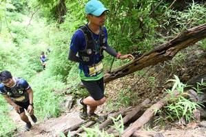 BIB: 
                            <button type="button" onclick="openModal(4424395)" class="btn btn-primary btn-sm float-right btn-popup" data-toggle="modal" data-target=".modal-high-quality">
                        <i class="fas fa-shopping-cart"></i> Add to Cart
                    </button>
                                            <button type="button" onclick="isThisMe(4424395, true)" class="btn btn-success btn-sm float-right btn-popup btn-isme hidden" data-toggle="tooltip" data-placement="bottom" title="นี่คือรูปของคุณใช่ไหม คลิกที่นี่เพื่อเอาเข้าอัลบั้ม">
                        <i class="fas fa-plus"></i> Add to album
                    </button>
                    <button type="button" onclick="isThisMe(4424395, false)" class="btn btn-warning btn-sm float-right btn-popup btn-isnotme hidden">
                        <i class="fas fa-ban"></i> Remove from album
                    </button>