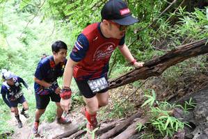 BIB: 3417
                            <button type="button" onclick="openModal(4405115)" class="btn btn-primary btn-sm float-right btn-popup" data-toggle="modal" data-target=".modal-high-quality">
                        <i class="fas fa-shopping-cart"></i> Add to Cart
                    </button>
                                            <button type="button" onclick="isThisMe(4405115, true)" class="btn btn-success btn-sm float-right btn-popup btn-isme hidden" data-toggle="tooltip" data-placement="bottom" title="นี่คือรูปของคุณใช่ไหม คลิกที่นี่เพื่อเอาเข้าอัลบั้ม">
                        <i class="fas fa-plus"></i> Add to album
                    </button>
                    <button type="button" onclick="isThisMe(4405115, false)" class="btn btn-warning btn-sm float-right btn-popup btn-isnotme hidden">
                        <i class="fas fa-ban"></i> Remove from album
                    </button>