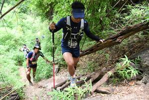 BIB: 3739
                            <button type="button" onclick="openModal(4412689)" class="btn btn-primary btn-sm float-right btn-popup" data-toggle="modal" data-target=".modal-high-quality">
                        <i class="fas fa-shopping-cart"></i> Add to Cart
                    </button>
                                            <button type="button" onclick="isThisMe(4412689, true)" class="btn btn-success btn-sm float-right btn-popup btn-isme hidden" data-toggle="tooltip" data-placement="bottom" title="นี่คือรูปของคุณใช่ไหม คลิกที่นี่เพื่อเอาเข้าอัลบั้ม">
                        <i class="fas fa-plus"></i> Add to album
                    </button>
                    <button type="button" onclick="isThisMe(4412689, false)" class="btn btn-warning btn-sm float-right btn-popup btn-isnotme hidden">
                        <i class="fas fa-ban"></i> Remove from album
                    </button>