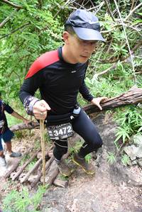 BIB: 3472
                            <button type="button" onclick="openModal(4413188)" class="btn btn-primary btn-sm float-right btn-popup" data-toggle="modal" data-target=".modal-high-quality">
                        <i class="fas fa-shopping-cart"></i> Add to Cart
                    </button>
                                            <button type="button" onclick="isThisMe(4413188, true)" class="btn btn-success btn-sm float-right btn-popup btn-isme hidden" data-toggle="tooltip" data-placement="bottom" title="นี่คือรูปของคุณใช่ไหม คลิกที่นี่เพื่อเอาเข้าอัลบั้ม">
                        <i class="fas fa-plus"></i> Add to album
                    </button>
                    <button type="button" onclick="isThisMe(4413188, false)" class="btn btn-warning btn-sm float-right btn-popup btn-isnotme hidden">
                        <i class="fas fa-ban"></i> Remove from album
                    </button>