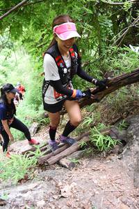 BIB: 
                            <button type="button" onclick="openModal(4413526)" class="btn btn-primary btn-sm float-right btn-popup" data-toggle="modal" data-target=".modal-high-quality">
                        <i class="fas fa-shopping-cart"></i> Add to Cart
                    </button>
                                            <button type="button" onclick="isThisMe(4413526, true)" class="btn btn-success btn-sm float-right btn-popup btn-isme hidden" data-toggle="tooltip" data-placement="bottom" title="นี่คือรูปของคุณใช่ไหม คลิกที่นี่เพื่อเอาเข้าอัลบั้ม">
                        <i class="fas fa-plus"></i> Add to album
                    </button>
                    <button type="button" onclick="isThisMe(4413526, false)" class="btn btn-warning btn-sm float-right btn-popup btn-isnotme hidden">
                        <i class="fas fa-ban"></i> Remove from album
                    </button>