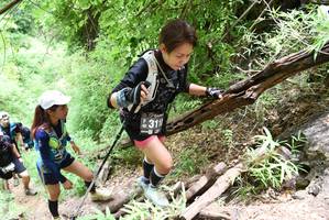 BIB: 
                            <button type="button" onclick="openModal(4414376)" class="btn btn-primary btn-sm float-right btn-popup" data-toggle="modal" data-target=".modal-high-quality">
                        <i class="fas fa-shopping-cart"></i> Add to Cart
                    </button>
                                            <button type="button" onclick="isThisMe(4414376, true)" class="btn btn-success btn-sm float-right btn-popup btn-isme hidden" data-toggle="tooltip" data-placement="bottom" title="นี่คือรูปของคุณใช่ไหม คลิกที่นี่เพื่อเอาเข้าอัลบั้ม">
                        <i class="fas fa-plus"></i> Add to album
                    </button>
                    <button type="button" onclick="isThisMe(4414376, false)" class="btn btn-warning btn-sm float-right btn-popup btn-isnotme hidden">
                        <i class="fas fa-ban"></i> Remove from album
                    </button>