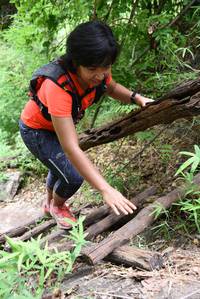 BIB: 
                            <button type="button" onclick="openModal(4424642)" class="btn btn-primary btn-sm float-right btn-popup" data-toggle="modal" data-target=".modal-high-quality">
                        <i class="fas fa-shopping-cart"></i> Add to Cart
                    </button>
                                            <button type="button" onclick="isThisMe(4424642, true)" class="btn btn-success btn-sm float-right btn-popup btn-isme hidden" data-toggle="tooltip" data-placement="bottom" title="นี่คือรูปของคุณใช่ไหม คลิกที่นี่เพื่อเอาเข้าอัลบั้ม">
                        <i class="fas fa-plus"></i> Add to album
                    </button>
                    <button type="button" onclick="isThisMe(4424642, false)" class="btn btn-warning btn-sm float-right btn-popup btn-isnotme hidden">
                        <i class="fas fa-ban"></i> Remove from album
                    </button>