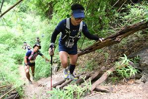 BIB: 
                            <button type="button" onclick="openModal(4412664)" class="btn btn-primary btn-sm float-right btn-popup" data-toggle="modal" data-target=".modal-high-quality">
                        <i class="fas fa-shopping-cart"></i> Add to Cart
                    </button>
                                            <button type="button" onclick="isThisMe(4412664, true)" class="btn btn-success btn-sm float-right btn-popup btn-isme hidden" data-toggle="tooltip" data-placement="bottom" title="นี่คือรูปของคุณใช่ไหม คลิกที่นี่เพื่อเอาเข้าอัลบั้ม">
                        <i class="fas fa-plus"></i> Add to album
                    </button>
                    <button type="button" onclick="isThisMe(4412664, false)" class="btn btn-warning btn-sm float-right btn-popup btn-isnotme hidden">
                        <i class="fas fa-ban"></i> Remove from album
                    </button>