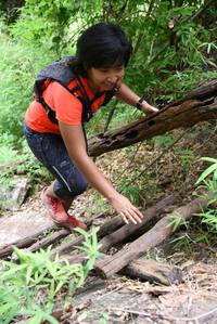 BIB: 
                            <button type="button" onclick="openModal(4424640)" class="btn btn-primary btn-sm float-right btn-popup" data-toggle="modal" data-target=".modal-high-quality">
                        <i class="fas fa-shopping-cart"></i> Add to Cart
                    </button>
                                            <button type="button" onclick="isThisMe(4424640, true)" class="btn btn-success btn-sm float-right btn-popup btn-isme hidden" data-toggle="tooltip" data-placement="bottom" title="นี่คือรูปของคุณใช่ไหม คลิกที่นี่เพื่อเอาเข้าอัลบั้ม">
                        <i class="fas fa-plus"></i> Add to album
                    </button>
                    <button type="button" onclick="isThisMe(4424640, false)" class="btn btn-warning btn-sm float-right btn-popup btn-isnotme hidden">
                        <i class="fas fa-ban"></i> Remove from album
                    </button>